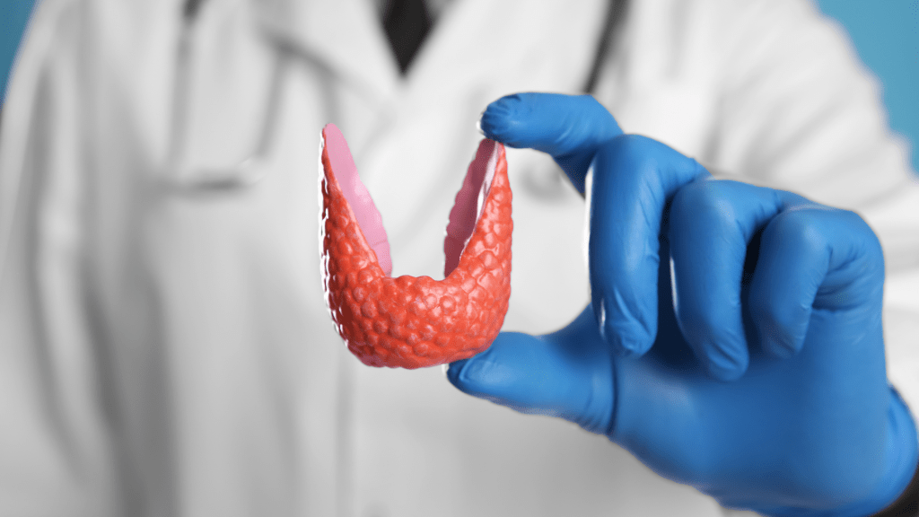 ¿Cuándo debería consultar a un endocrinólogo en Guadalajara para problemas hormonales y&nbsp;metabólicos?